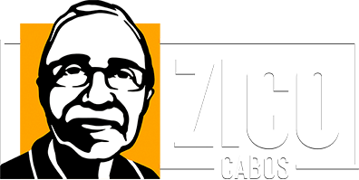 logo-fundo-escuro-zico-cabos-cordoalhas-de-aco-para-todo-tipo-de-aplicacao